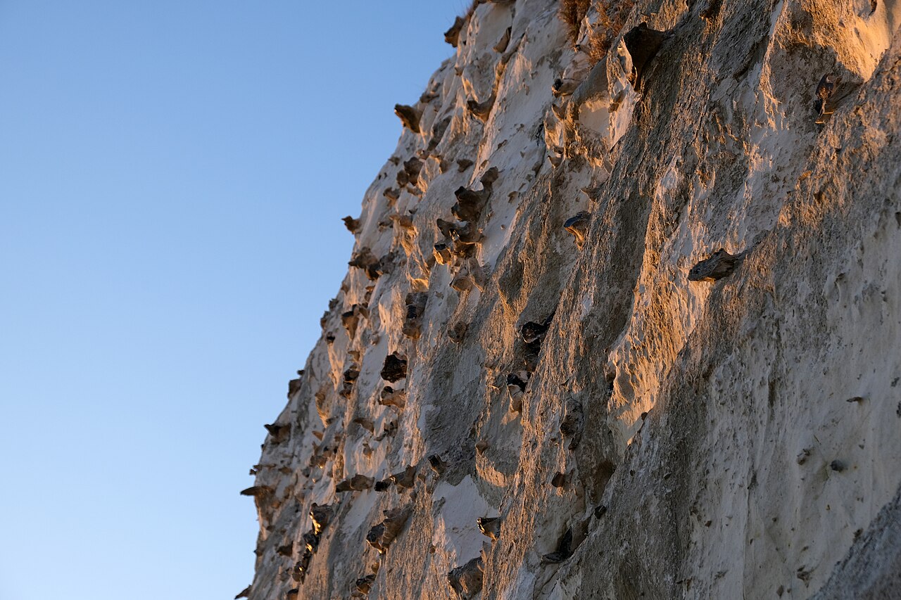 White Cliffs Dover Kent