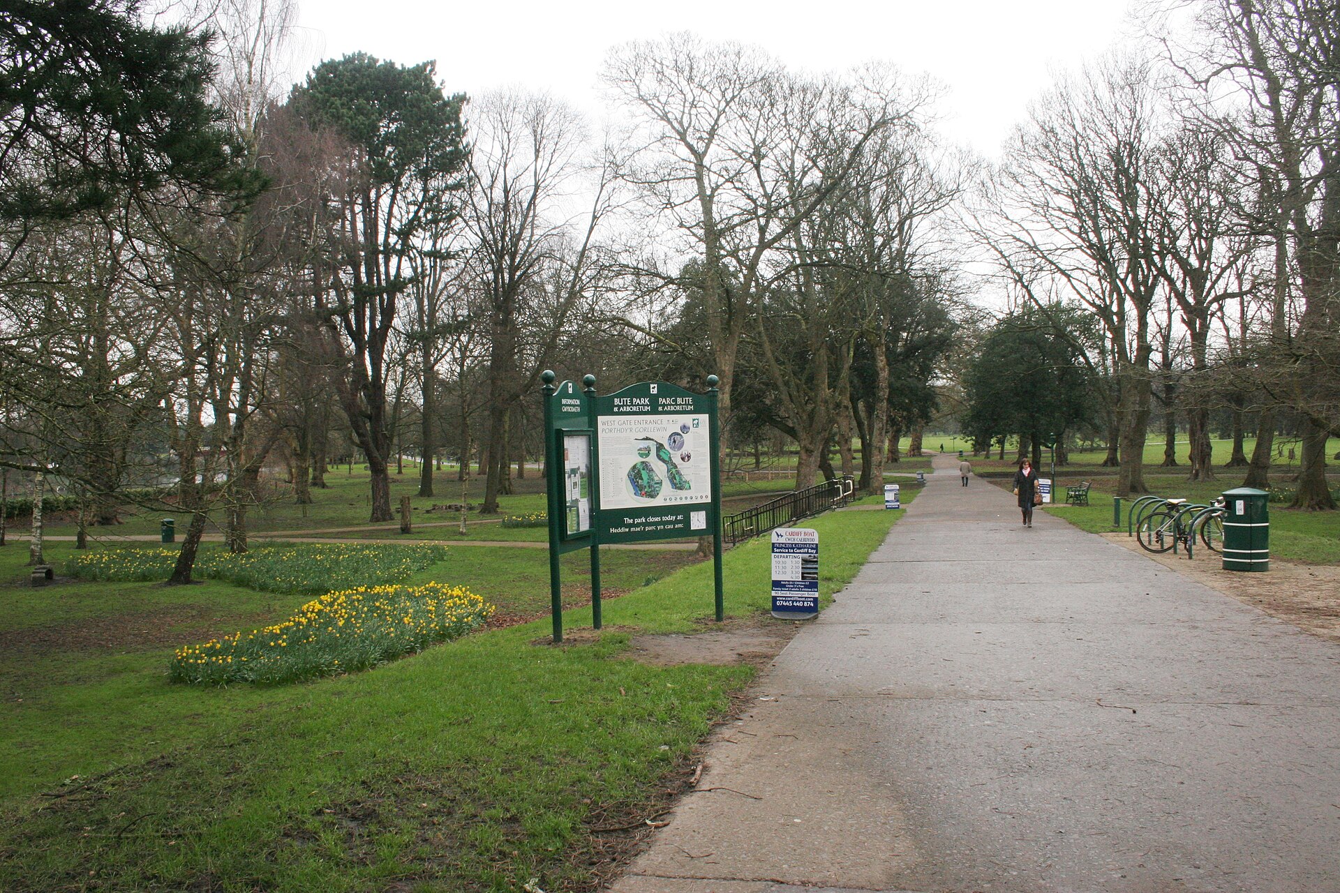 Baumgesäumter Weg im Bute Park, Cardiff