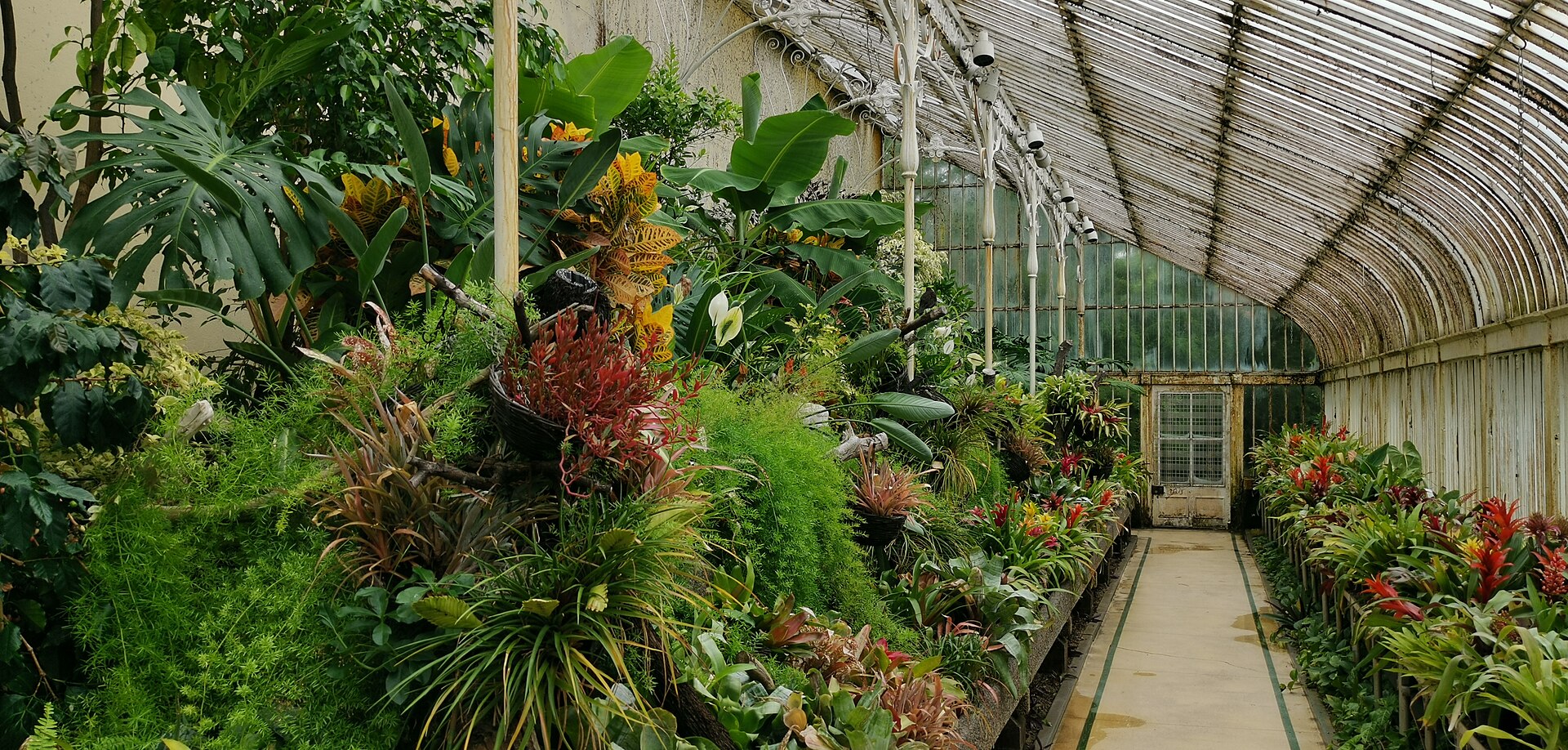 Palm House at Belfast Botanic Gardens