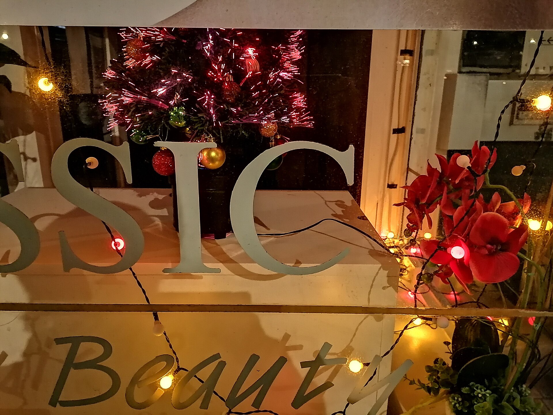 Vitrines de Noël